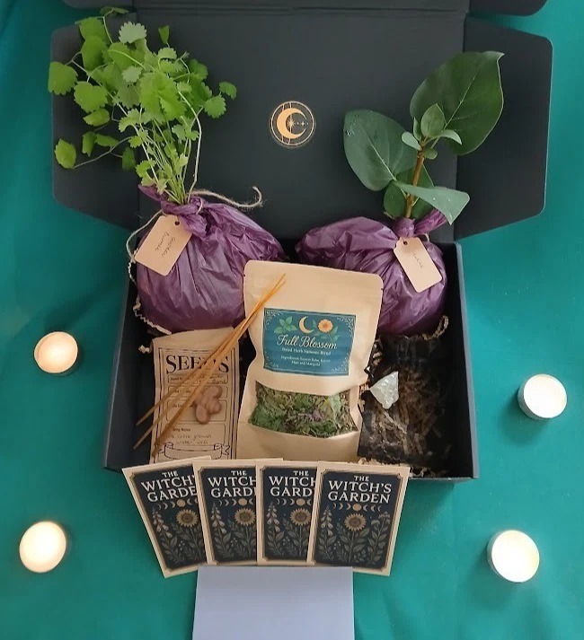 The Witch's Garden box — outside